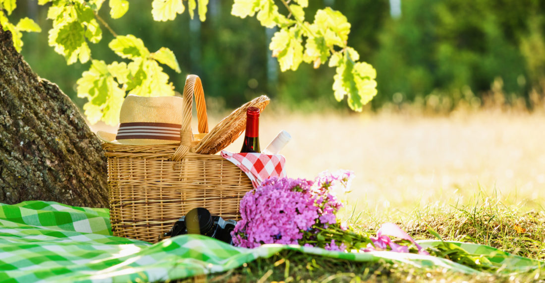 What to Bring to a Picnic: 10 Must-Pack Items - Citizen Effect